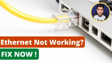 Ethernet not Working in Windows 10 - How to Fix Ethernet Connection - TechTipsExpress