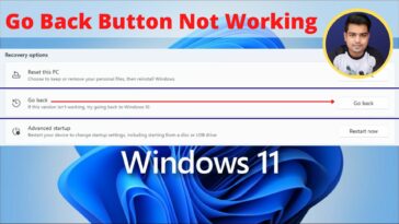 How to Bypass'Go Back Button' Not Working Issue On Windows 11 Downgrade - TechTipsExpress